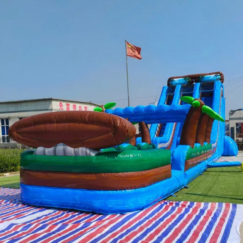 Commercial Tropical Beach Infl - đánh giá và giá Water Slide Inflatable